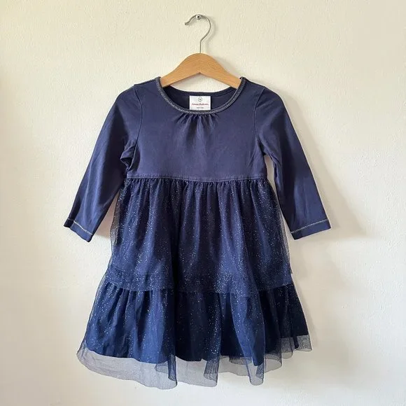 Hanna Andersson Tulle Sparkly Blue Ruffle Long Sleeve Dress C003 - Picture 1 of 4
